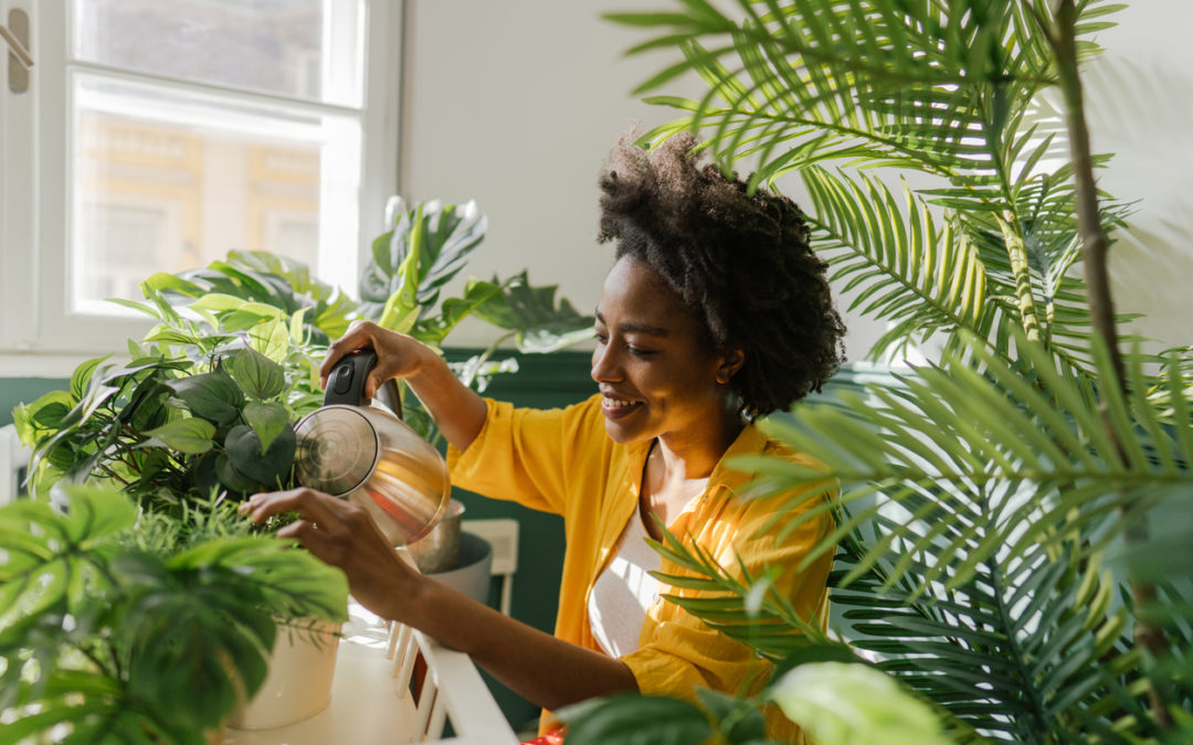 woman-watering-and-taking-care-of-her-houseplants
