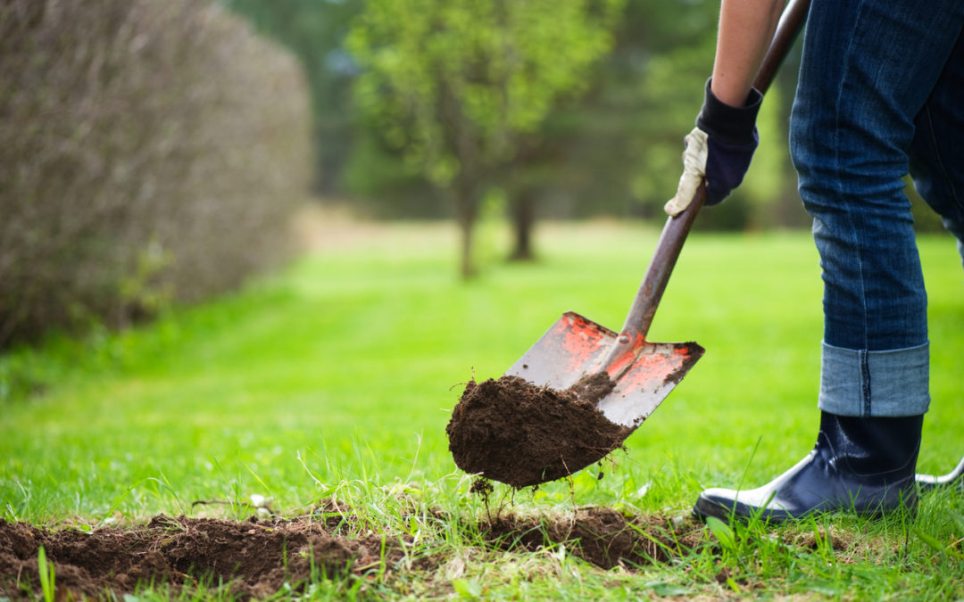 Patching a Hole in Your Lawn the Right Way