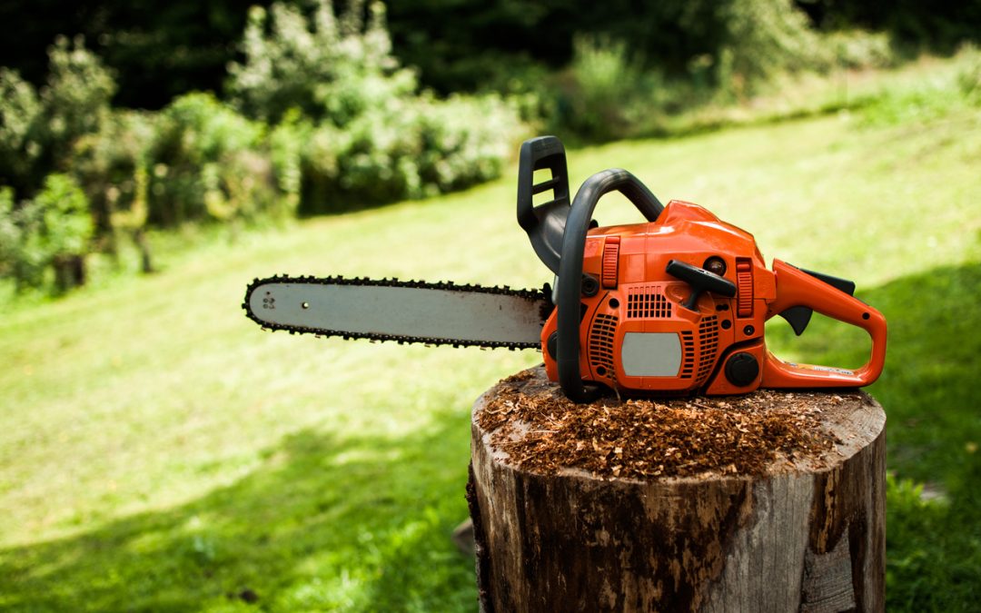 chainsaw-on-wooden-stomp