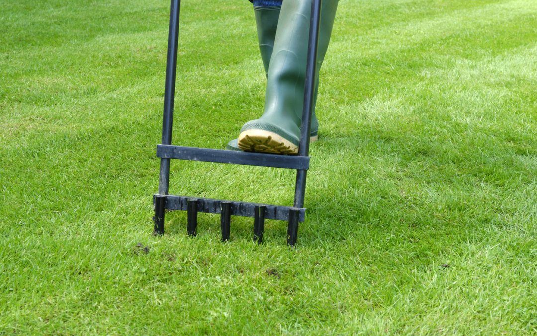 A cropped photo of a man aerating a lawn