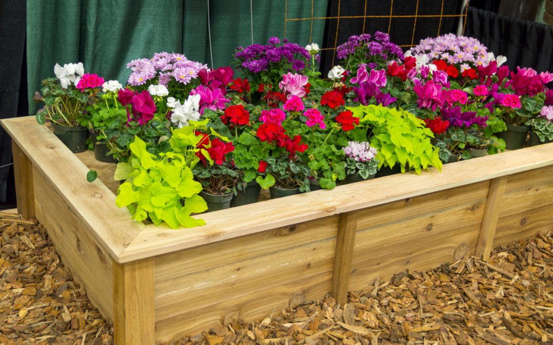 Wooden flower planter box on display at a home.