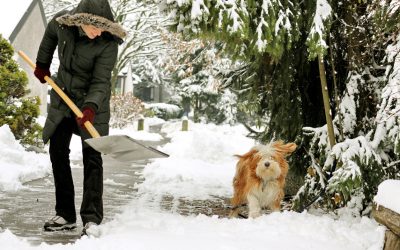 Snow Removal 101: The Best Products and Tools for Clearing Snow This Winter