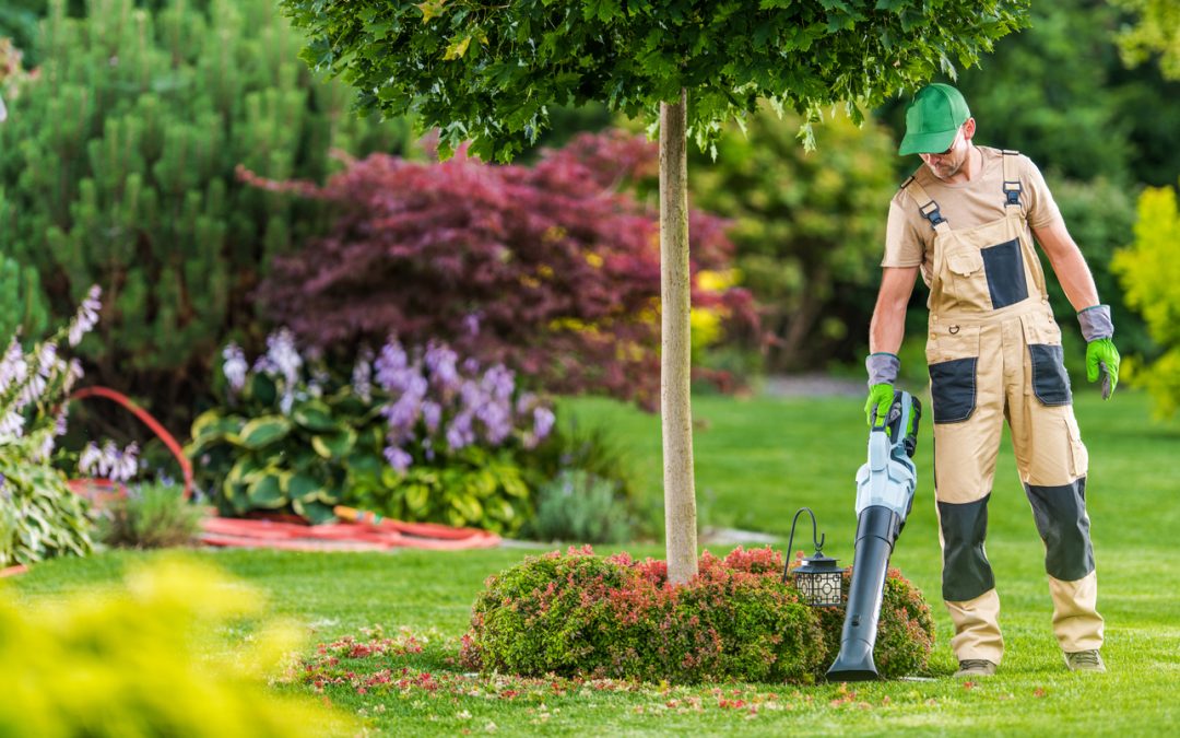 Man using leaf blower power tools while cleaning his backyard garden.